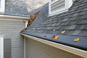 Photo of leaves on a sustainable gutter helmet