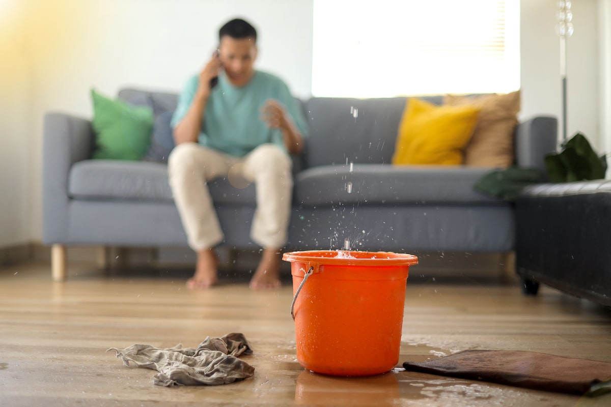 roof leak being caught by a bucket
