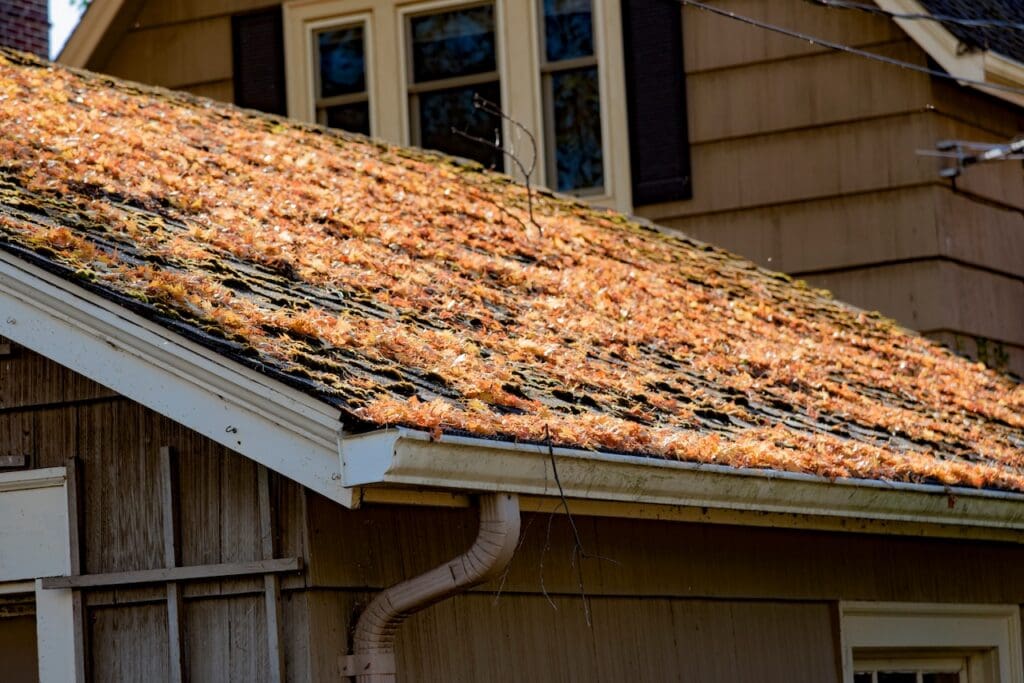 How Often Should You Clean Your Gutters? A Homeowner’s Guide