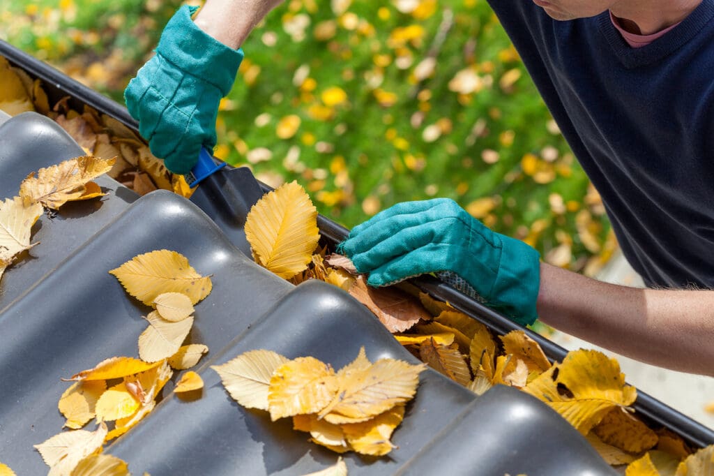 How Often Should You Clean Your Gutters? A Homeowner’s Guide